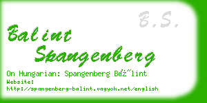 balint spangenberg business card